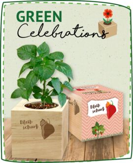 Growing gift and promotional items - Feel Green - We create nature