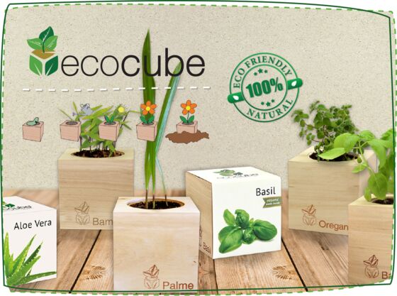 Ecocube Plantes Déco à personnaliser