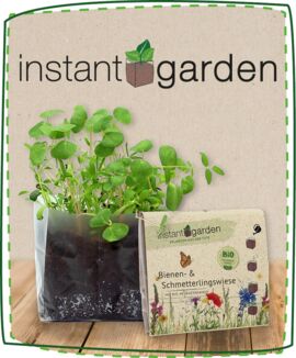 Growing gift and promotional items - Feel Green - We create nature