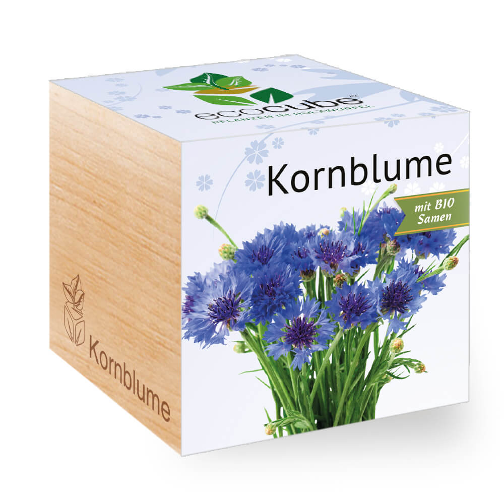 Kornblume - Feel nature create - Green We